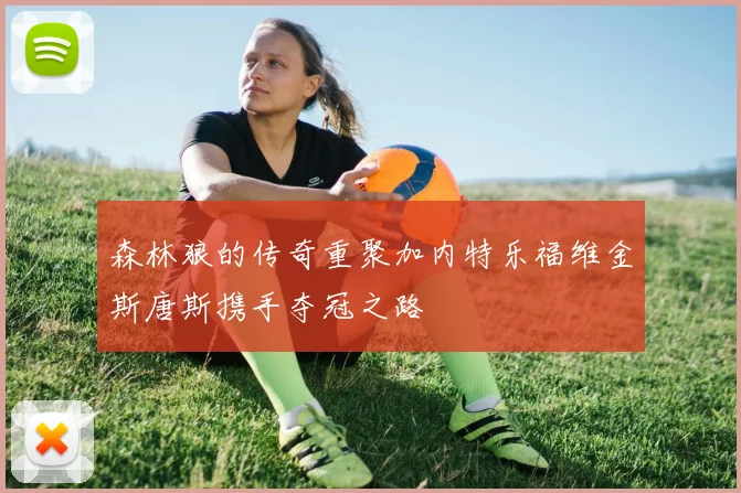 森林狼的传奇重聚加内特乐福维金斯唐斯携手夺冠之路