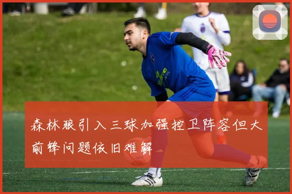 森林狼引入三球加强控卫阵容但大前锋问题依旧难解