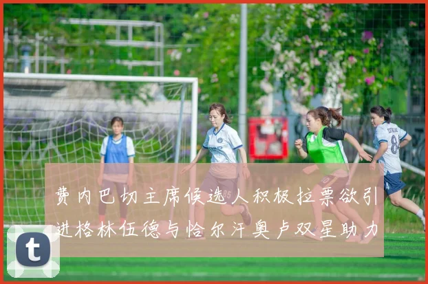 费内巴切主席候选人积极拉票欲引进格林伍德与恰尔汗奥卢双星助力球队